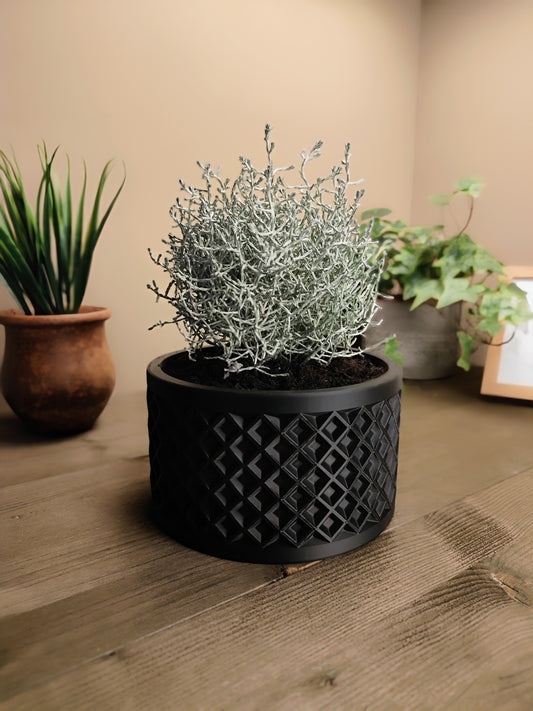 Modern Plant Pot