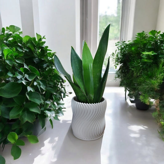 Turbine Plant Pot